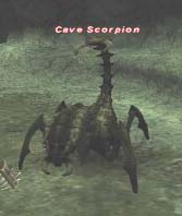 Cave Scorpion Picture